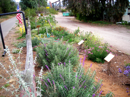 Memorial Day Ventura River Trail Garden