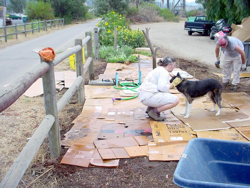 Gianna Caglioni installing insect-attracting garden