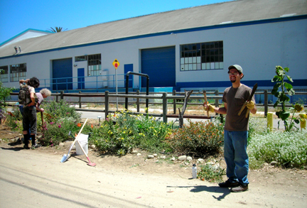 Bryce Adolfson tending beneficial habitat garden