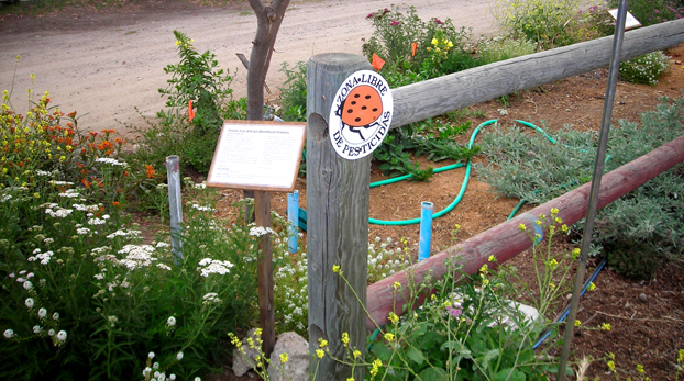zona libre de pesticidas 